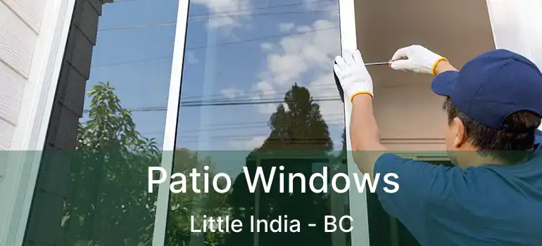  Patio Windows Little India - BC