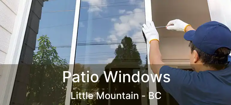  Patio Windows Little Mountain - BC