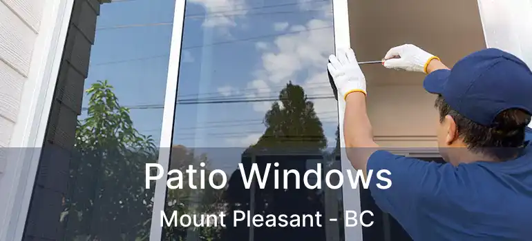  Patio Windows Mount Pleasant - BC