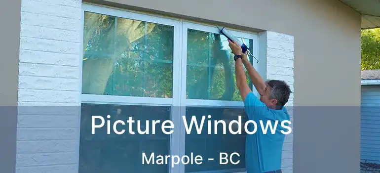  Picture Windows Marpole - BC