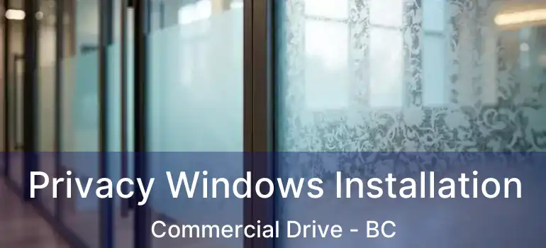  Privacy Windows Installation Commercial Drive - BC