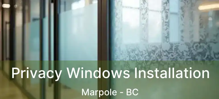  Privacy Windows Installation Marpole - BC