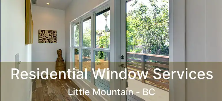  Residential Window Services Little Mountain - BC