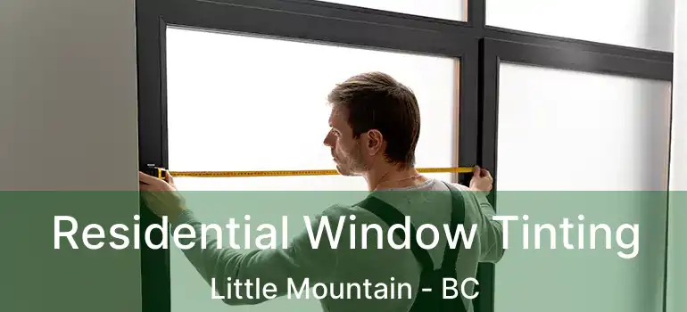  Residential Window Tinting Little Mountain - BC