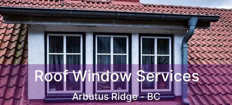  Roof Window Services Arbutus Ridge - BC