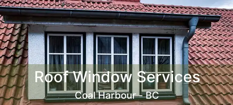  Roof Window Services Coal Harbour - BC
