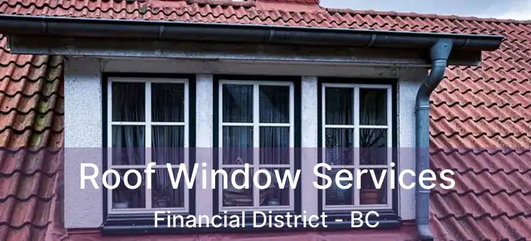  Roof Window Services Financial District - BC