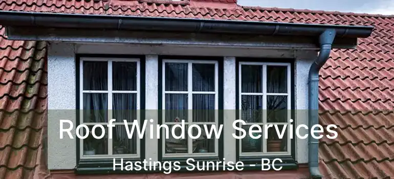  Roof Window Services Hastings Sunrise - BC