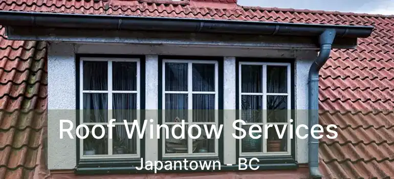  Roof Window Services Japantown - BC