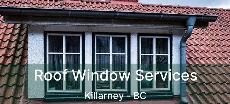  Roof Window Services Killarney - BC