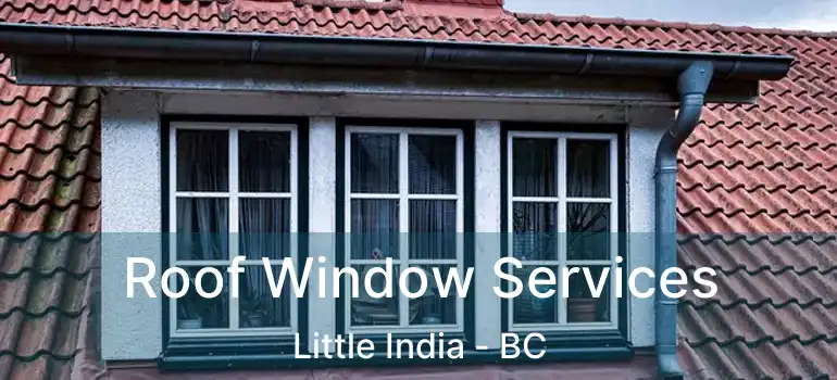  Roof Window Services Little India - BC