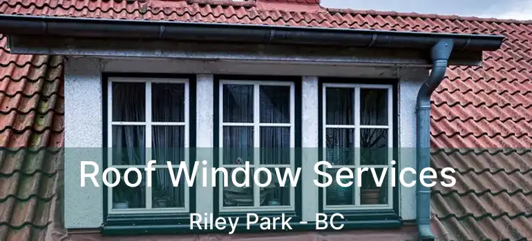  Roof Window Services Riley Park - BC