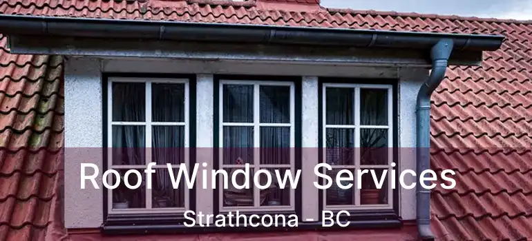  Roof Window Services Strathcona - BC