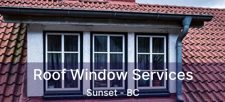  Roof Window Services Sunset - BC