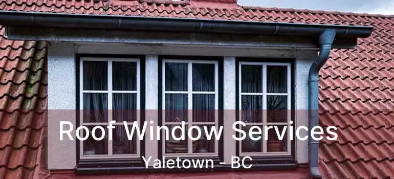  Roof Window Services Yaletown - BC