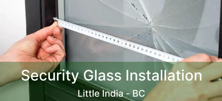  Security Glass Installation Little India - BC