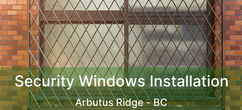  Security Windows Installation Arbutus Ridge - BC