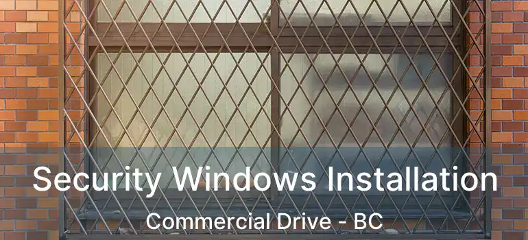  Security Windows Installation Commercial Drive - BC