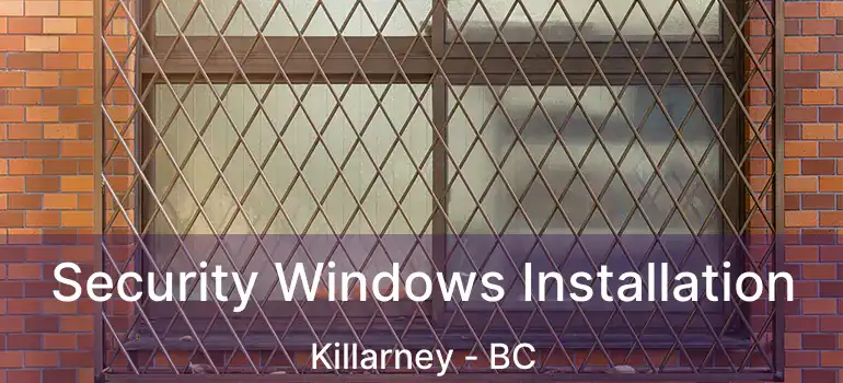  Security Windows Installation Killarney - BC