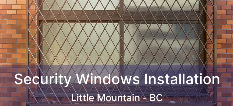  Security Windows Installation Little Mountain - BC