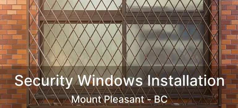  Security Windows Installation Mount Pleasant - BC