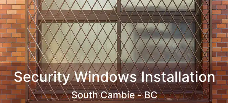  Security Windows Installation South Cambie - BC