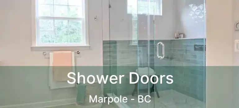  Shower Doors Marpole - BC