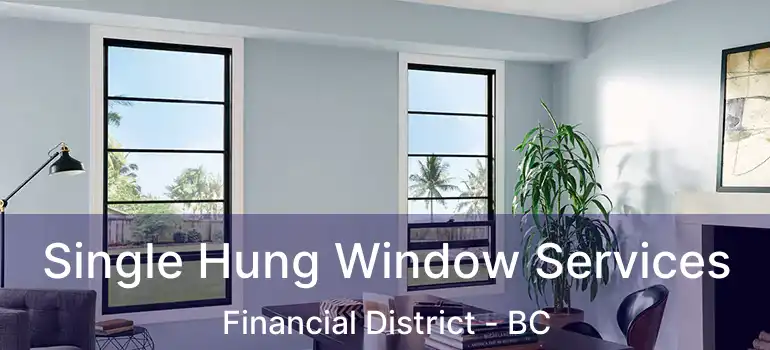  Single Hung Window Services Financial District - BC