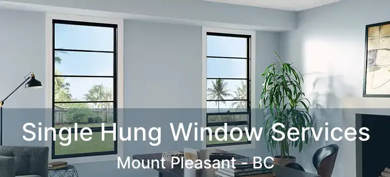  Single Hung Window Services Mount Pleasant - BC