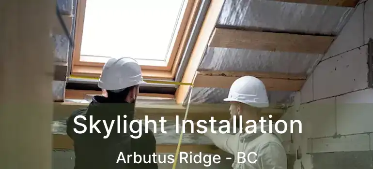  Skylight Installation Arbutus Ridge - BC