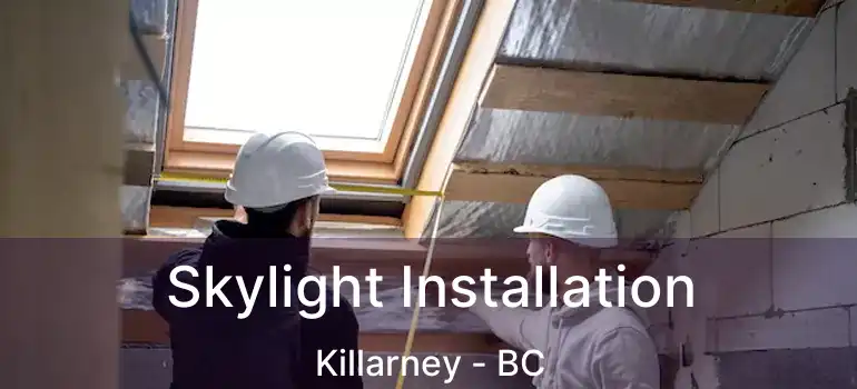  Skylight Installation Killarney - BC