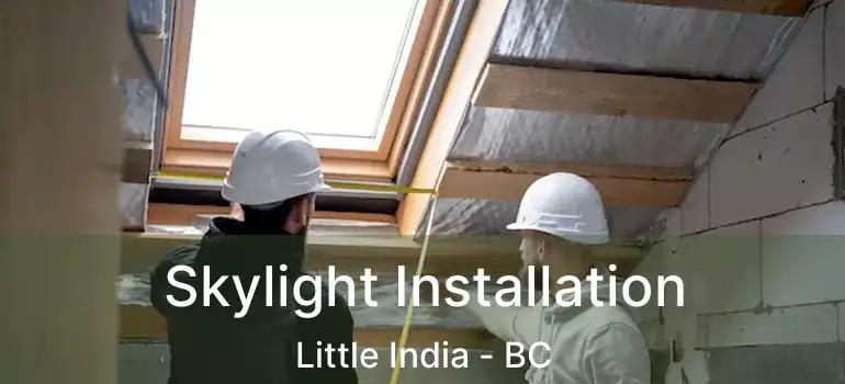  Skylight Installation Little India - BC
