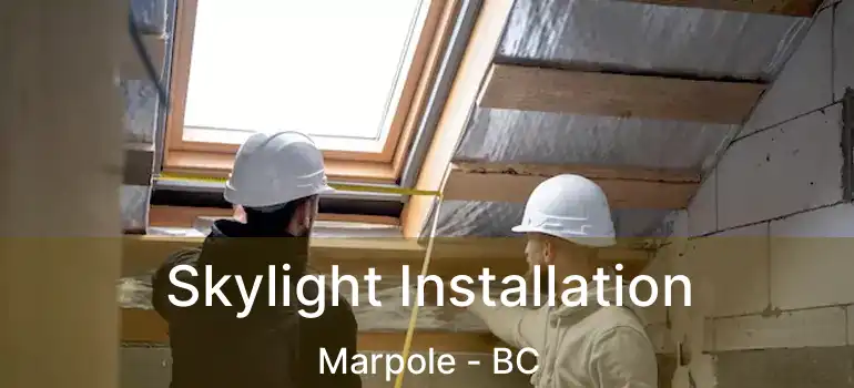  Skylight Installation Marpole - BC