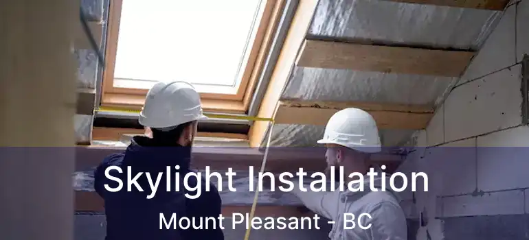  Skylight Installation Mount Pleasant - BC