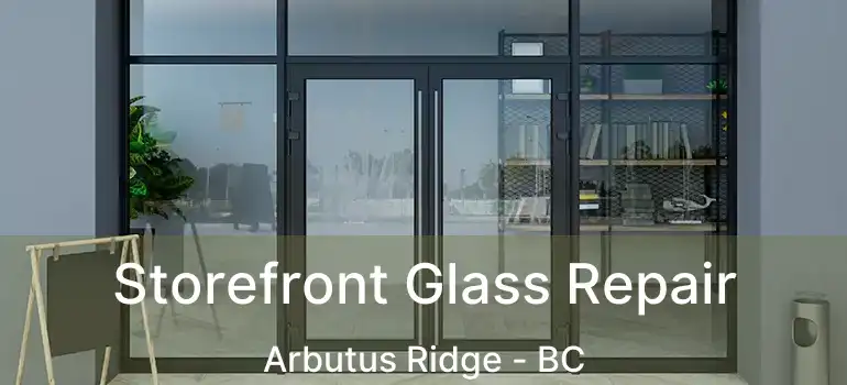  Storefront Glass Repair Arbutus Ridge - BC