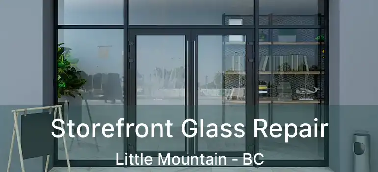  Storefront Glass Repair Little Mountain - BC