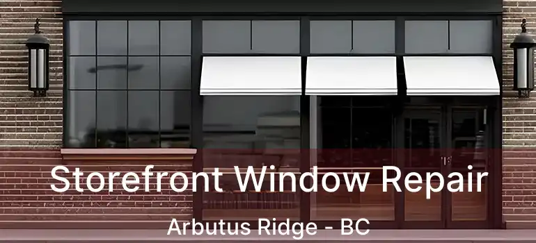 Storefront Window Repair Arbutus Ridge - BC