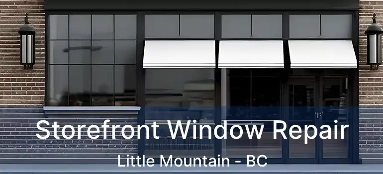  Storefront Window Repair Little Mountain - BC