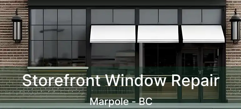  Storefront Window Repair Marpole - BC