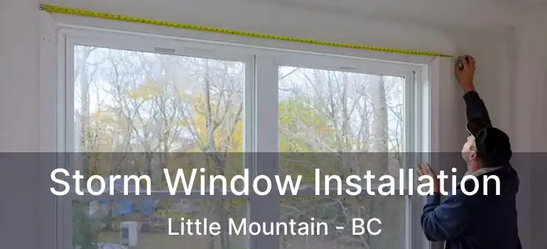  Storm Window Installation Little Mountain - BC