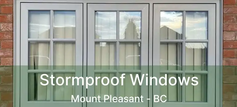  Stormproof Windows Mount Pleasant - BC