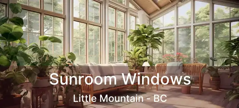  Sunroom Windows Little Mountain - BC