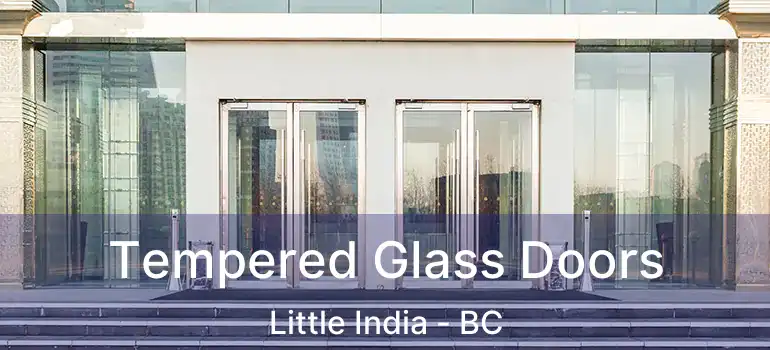  Tempered Glass Doors Little India - BC
