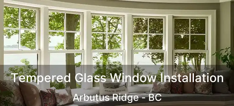  Tempered Glass Window Installation Arbutus Ridge - BC