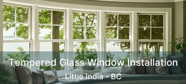  Tempered Glass Window Installation Little India - BC