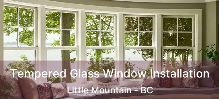  Tempered Glass Window Installation Little Mountain - BC