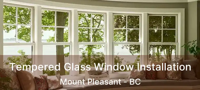  Tempered Glass Window Installation Mount Pleasant - BC