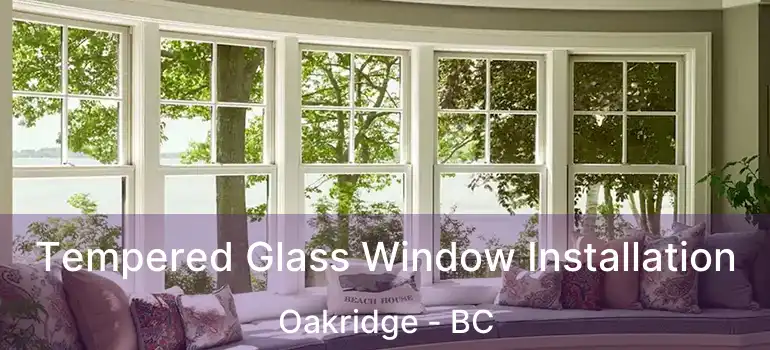  Tempered Glass Window Installation Oakridge - BC
