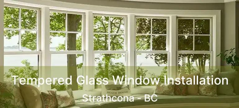  Tempered Glass Window Installation Strathcona - BC