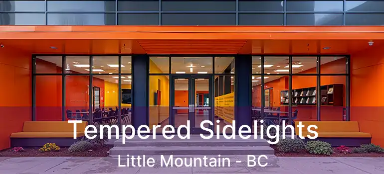  Tempered Sidelights Little Mountain - BC